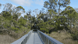 Fort Mose Historic State Park St. John's County