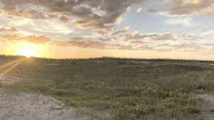 Little Talbot Island State Park Duval County