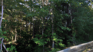 Moccasin Slough Park Fleming Island