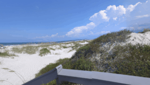 Ocean Hammock Park Walkway St. Augustine, FL