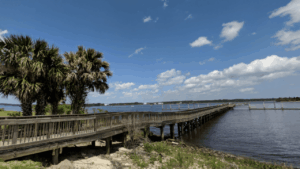 Reddie Point Preserve Jacksonville