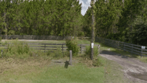 Twelve Mile Swamp Conservation Area St. John's County