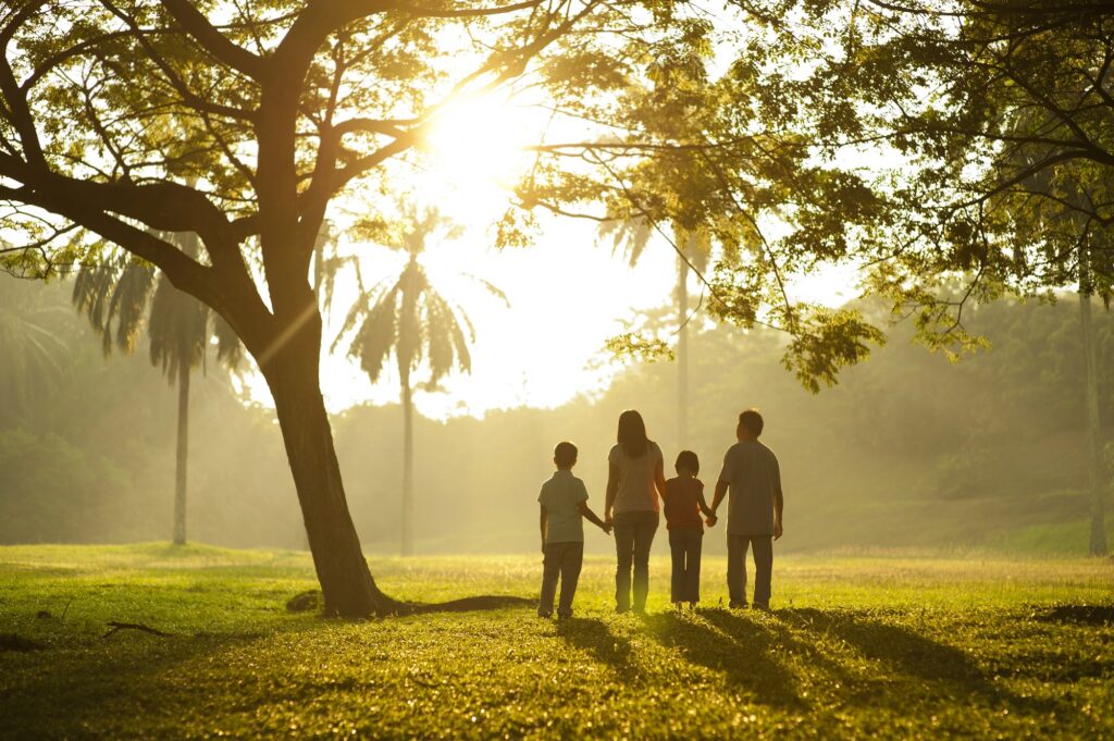family trust lawyer